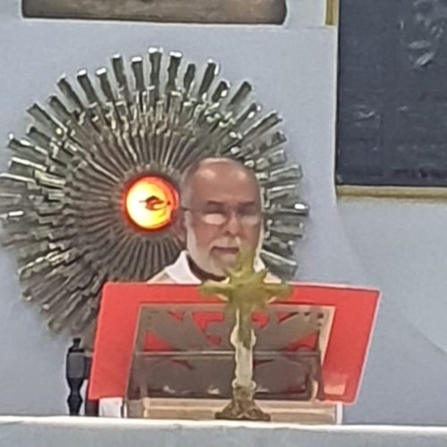 2o-Dia-do-Triduo-de-Sao-Francisco-02-10-25-18