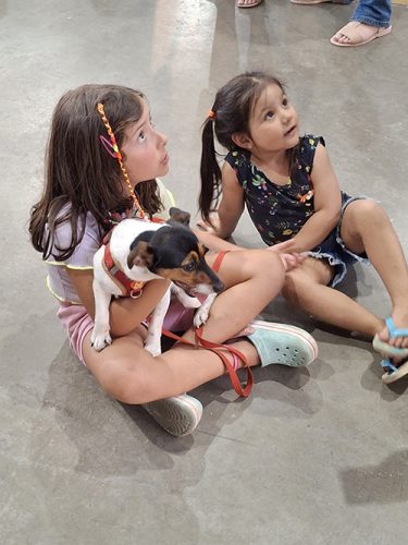 Bencao-dos-Animais-04-e-05-10-25-19