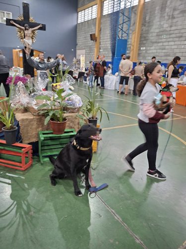 Bencao-dos-Animais-04-e-05-10-25-2