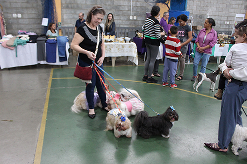 Bênção dos Animais - 04 e 05-10-25