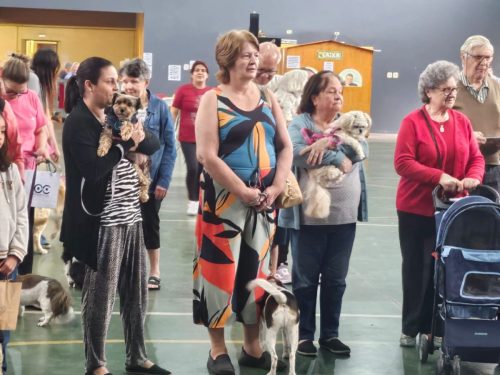 WhatsApp-Image-2025-10-07-at-13.52.11-1