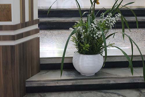 Festa-do-Bonfim-2025-Missa-Festiva-Solene-e-Procissao-03-08-25-24