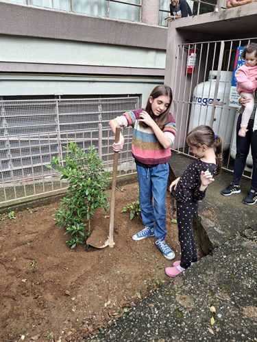 Pe-de-Manaca-plantado-em-homenagem-ao-papa-Francisco-26-04-25-14