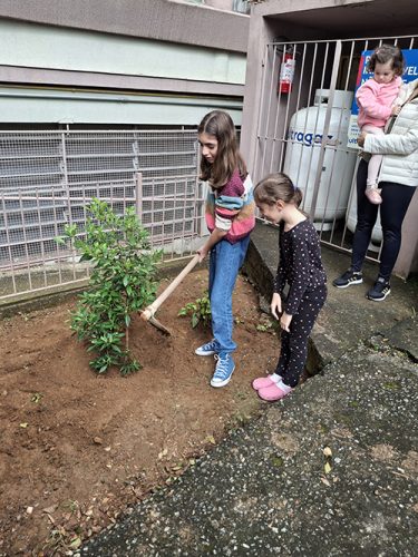 Pe-de-Manaca-plantado-em-homenagem-ao-papa-Francisco-26-04-25-15