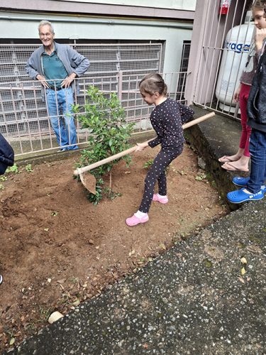 Pe-de-Manaca-plantado-em-homenagem-ao-papa-Francisco-26-04-25-16