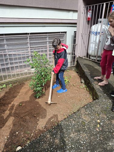Pe-de-Manaca-plantado-em-homenagem-ao-papa-Francisco-26-04-25-17