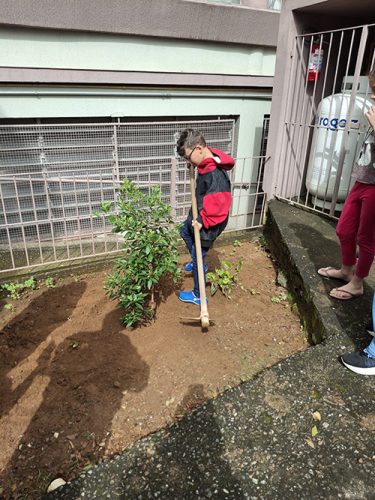 Pe-de-Manaca-plantado-em-homenagem-ao-papa-Francisco-26-04-25-18