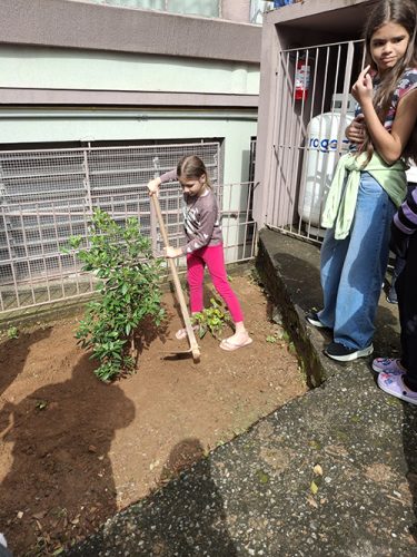 Pe-de-Manaca-plantado-em-homenagem-ao-papa-Francisco-26-04-25-19