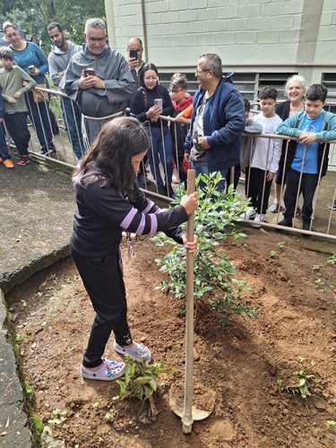 Pe-de-Manaca-plantado-em-homenagem-ao-papa-Francisco-26-04-25-21
