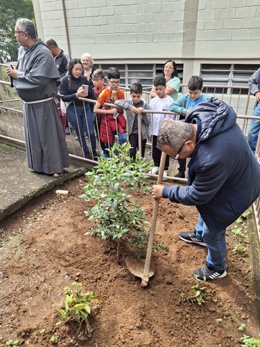 Pe-de-Manaca-plantado-em-homenagem-ao-papa-Francisco-26-04-25-24